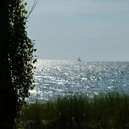 Ostseebrise 8 Daire *