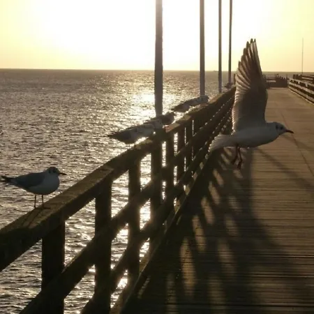 Ostseebrise 8 Daire